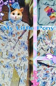 RAINBOW DASH MLP onsie 7/8